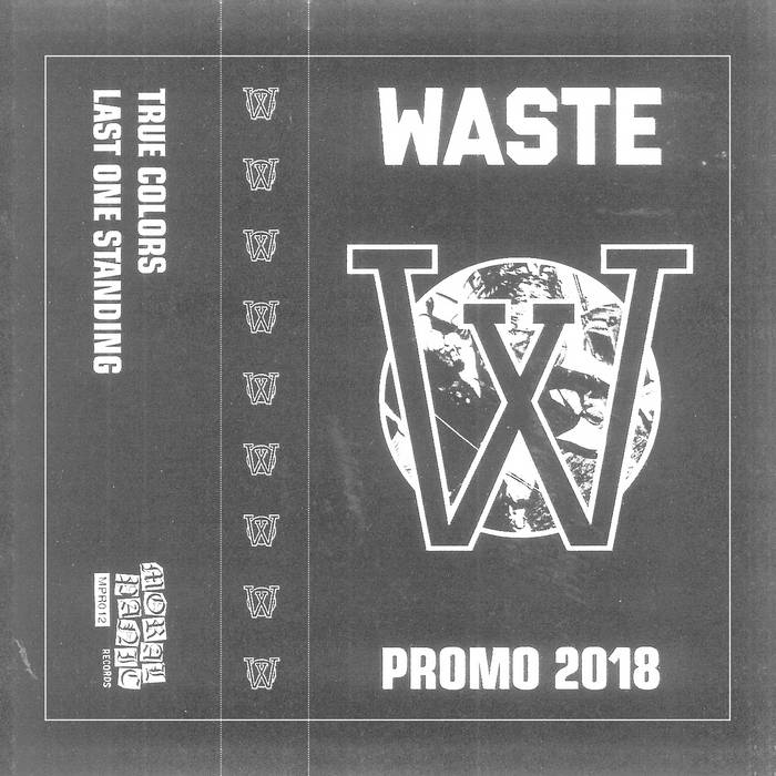 WASTE - Promo 2018 cover 