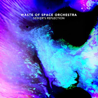 WASTE OF SPACE ORCHESTRA - Seeker's Reflection cover 
