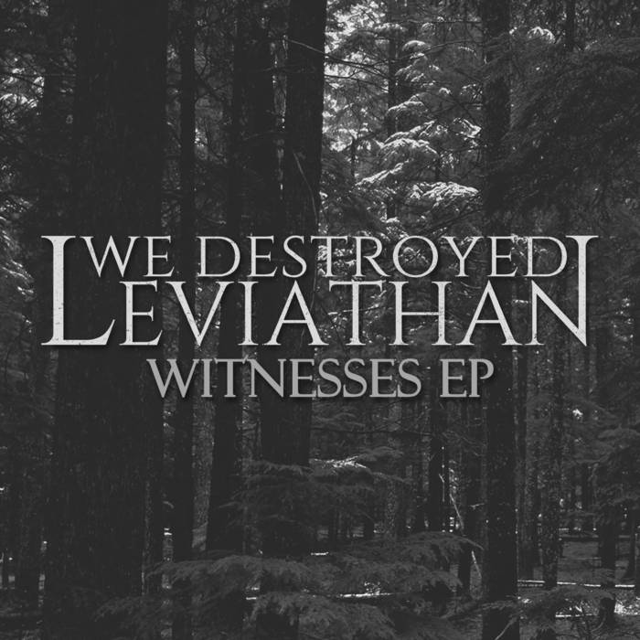 WE DESTROYED LEVIATHAN - Witnesses EP cover 