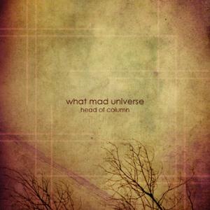 WHAT MAD UNIVERSE - Head Of Column cover 