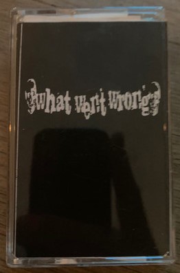 WHAT WENT WRONG - Demo Year 2002 ‎ cover 