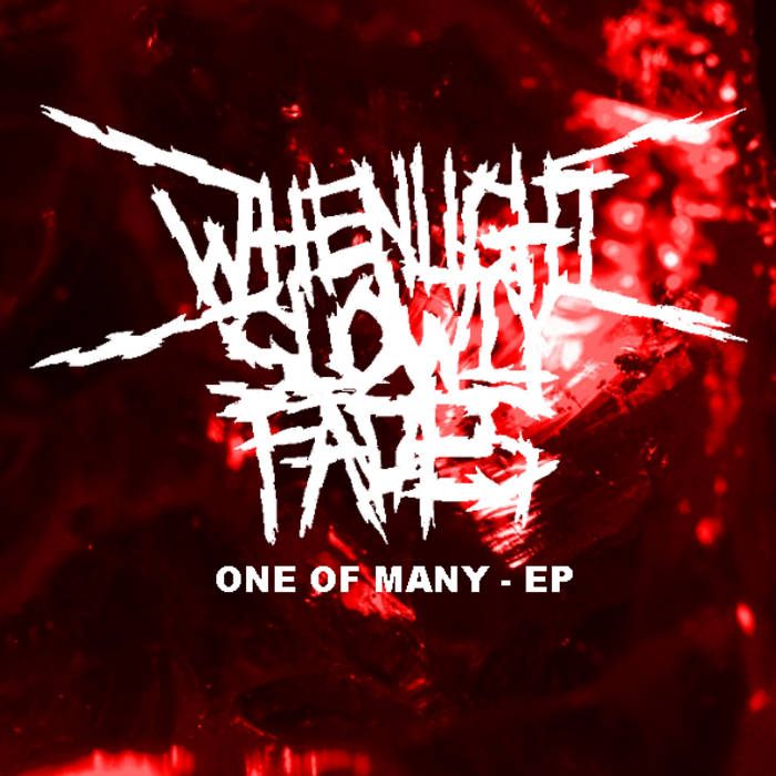 WHEN LIGHT SLOWLY FADES - One Of Many cover 
