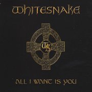 WHITESNAKE - All I Want Is You cover 