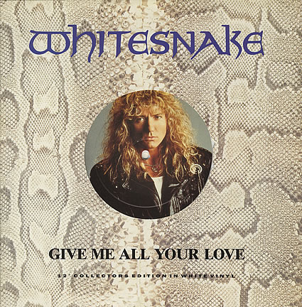 WHITESNAKE - Give Me All Your Love cover 