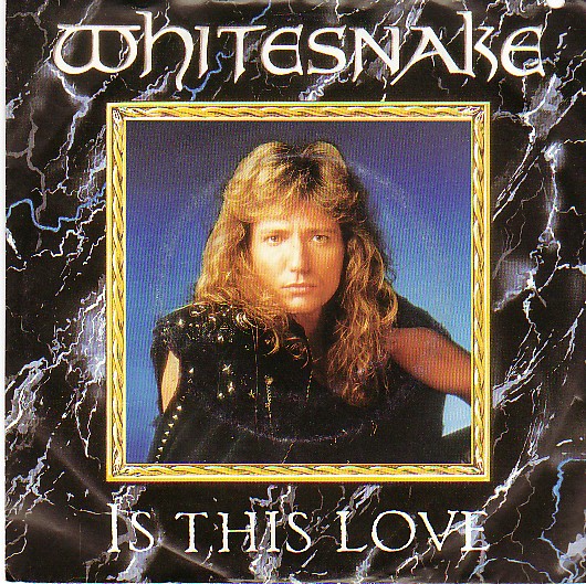WHITESNAKE - Is This Love cover 
