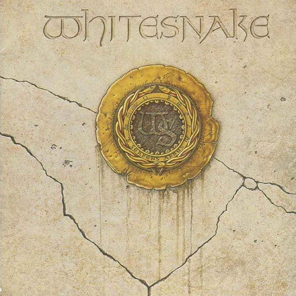 WHITESNAKE - Whitesnake cover 