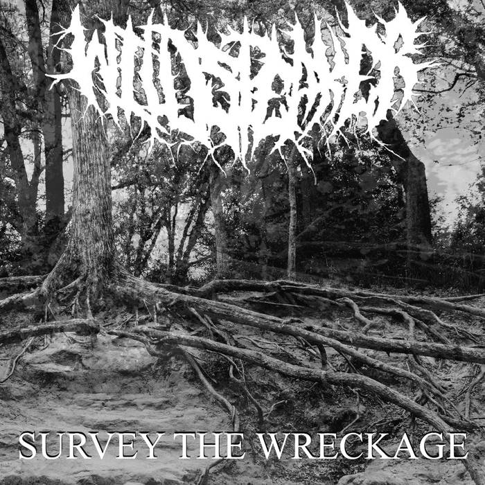 WILDSPEAKER - Survey The Wreckage cover 
