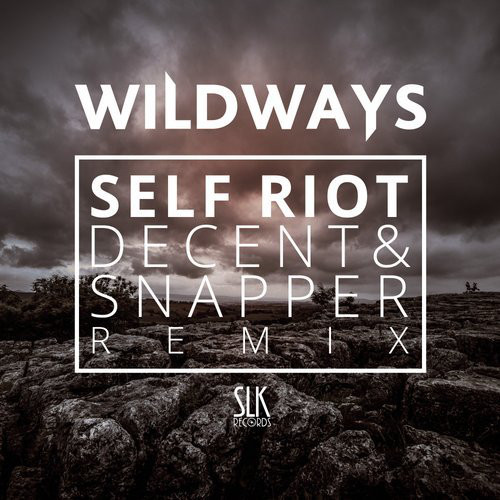 WILDWAYS - Self Riot (Decent & Snapper Remix) cover 