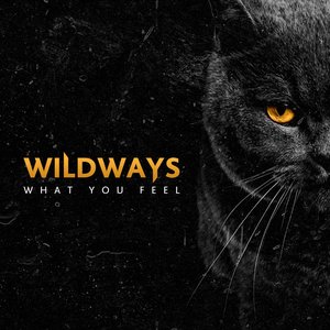 WILDWAYS - What You Feel cover 