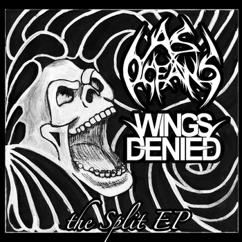 WINGS DENIED - The Split EP cover 