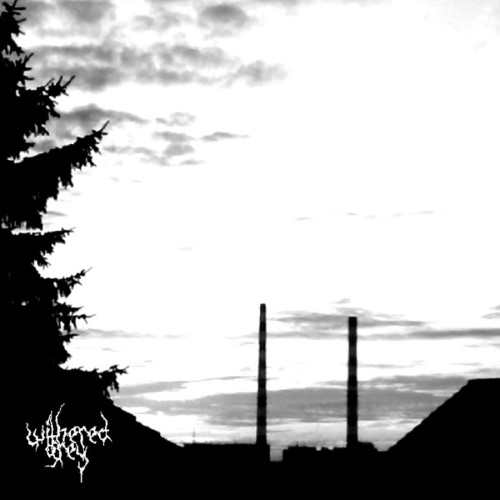 WITHERED GREY - Withered Grey cover 