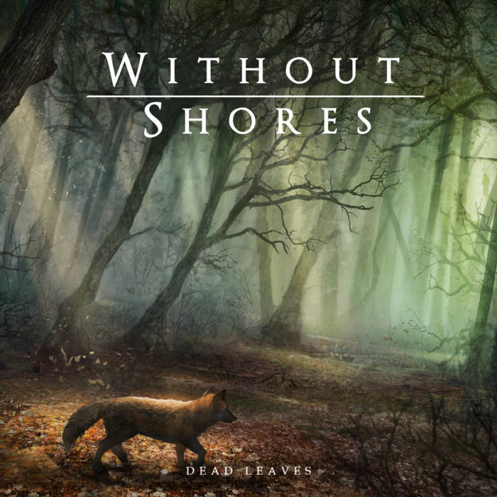 WITHOUT SHORES - Dead Leaves cover 