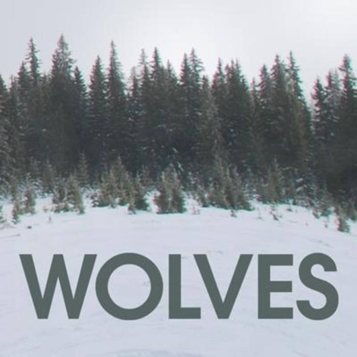 WOLVES - Dying cover 