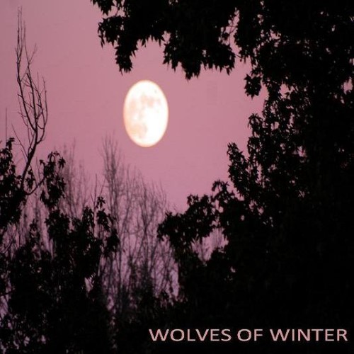 WOLVES OF WINTER - Wolves of Winter cover 