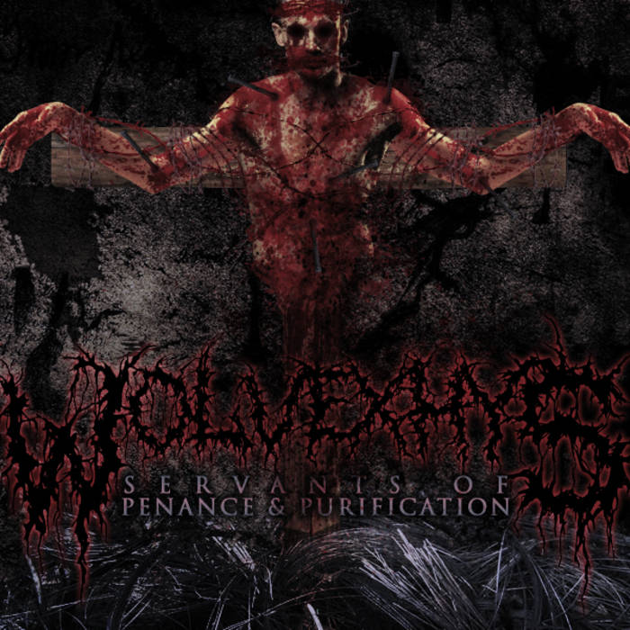 WOLVEXHYS - Servants Of Penance And Purification cover 