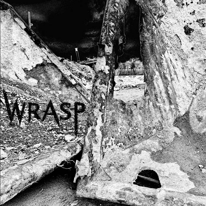 WRASP - Wrasp cover 