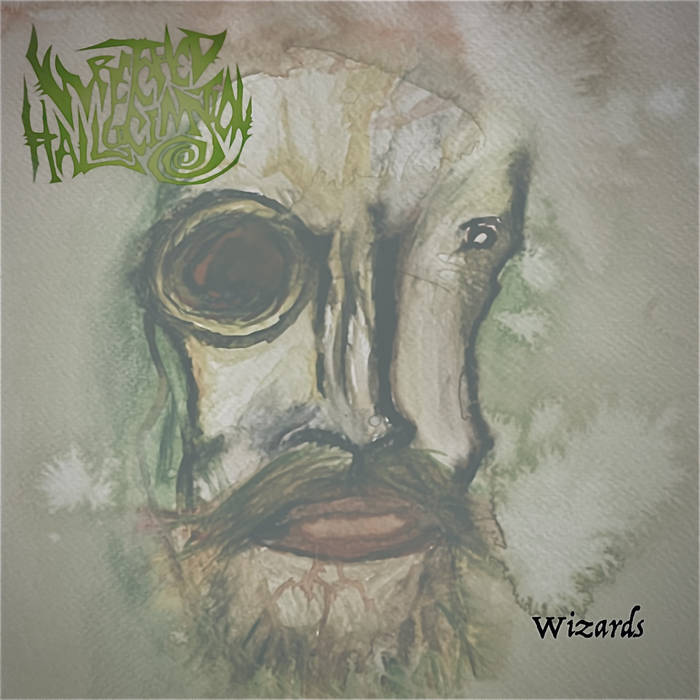 WRETCHED HALLUCINATION - Wizards cover 