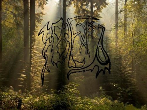ЗВЕРЬ - Сердце леса cover 