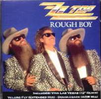 ZZ TOP - Rough Boy cover 